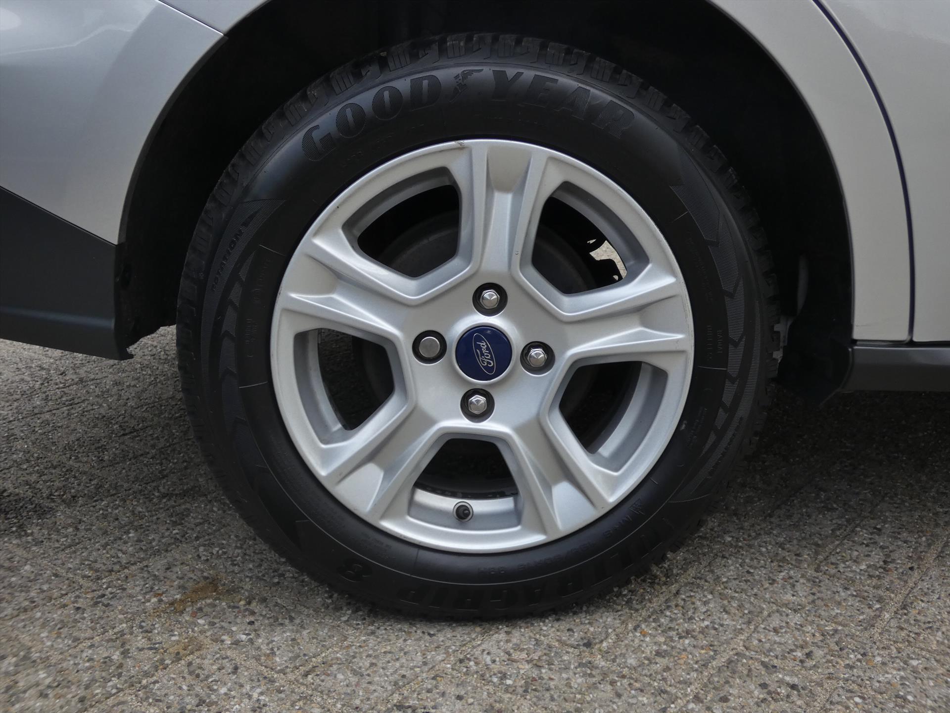 43384768-9.jpg
